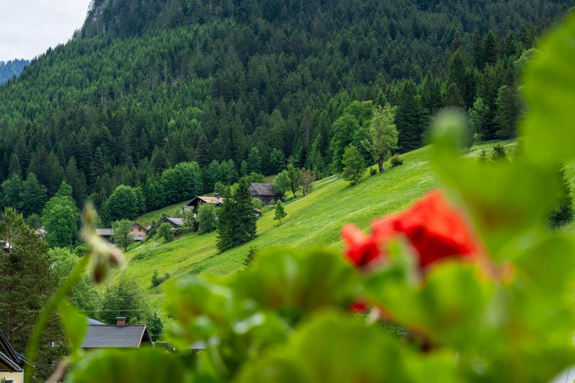 Haus Friedrich Hotel Gosau Kültér fotó